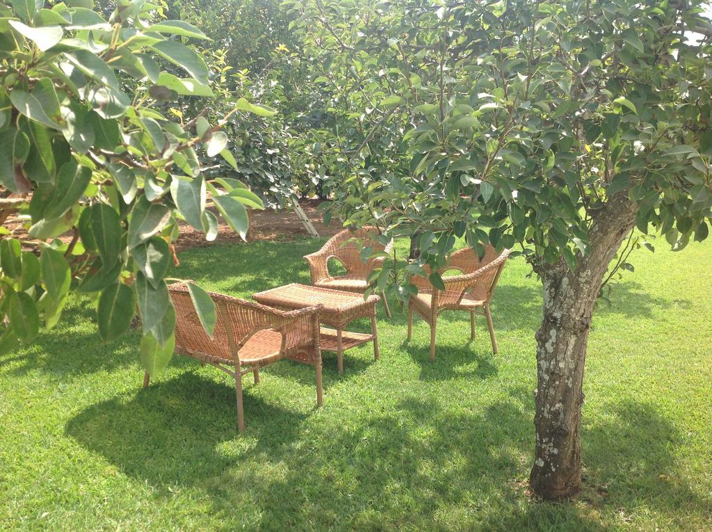 Agriturismo L'Agrumeto Otranto Kültér fotó